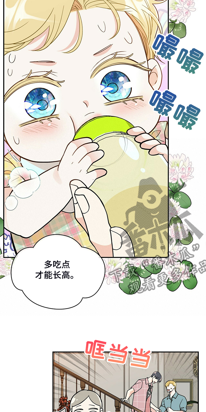 青年瑞兹为什么稀有漫画,第215章：【番外】又怀孕怎么办2图