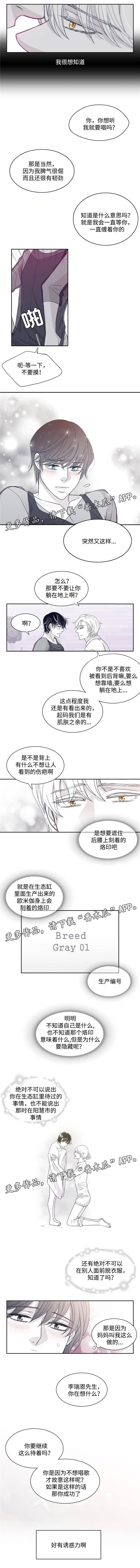 青年 瑞兹漫画,第32章：诱惑力2图