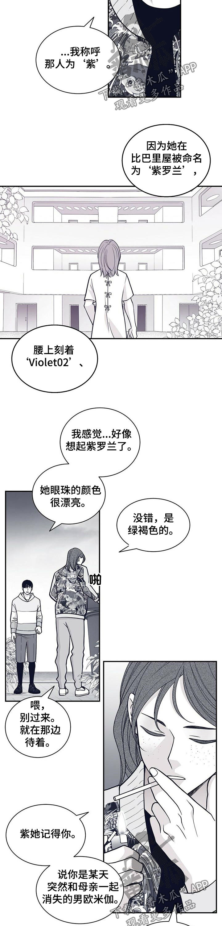 青年 瑞兹漫画,第161章：紫2图