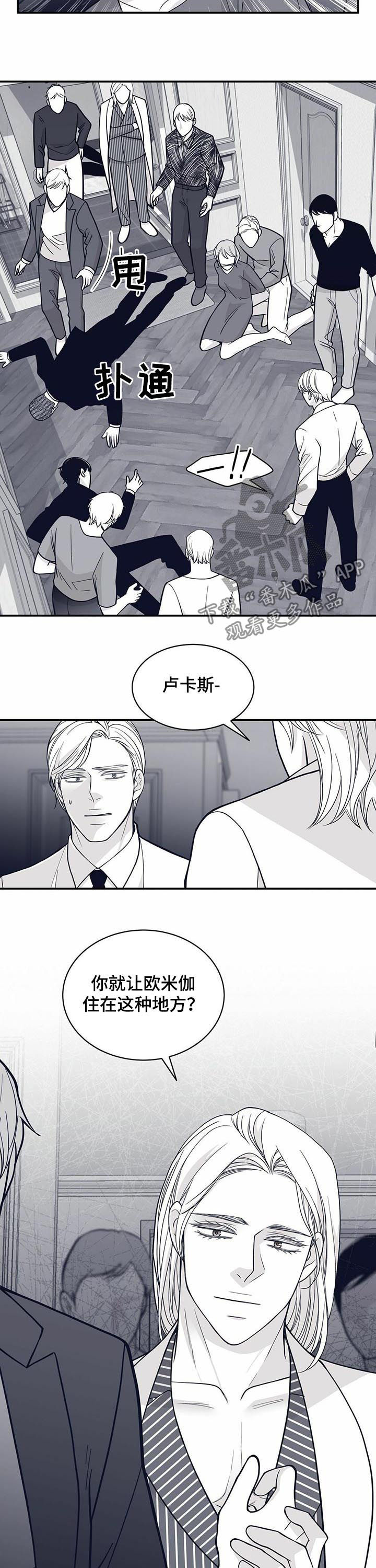 青年瑞兹是不是绝版了漫画,第136章：打上门2图