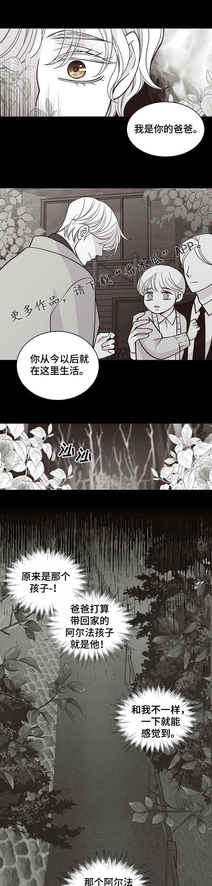 青年瑞恩漫画,第179章：【第二季】无情1图