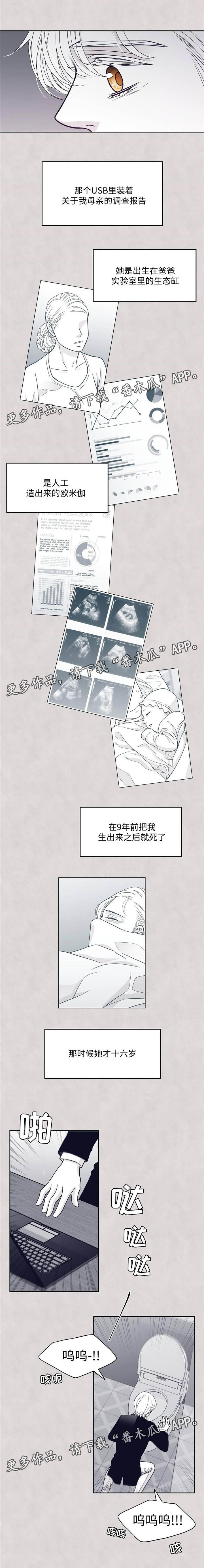 青年瑞恩漫画,第48章：愤怒2图