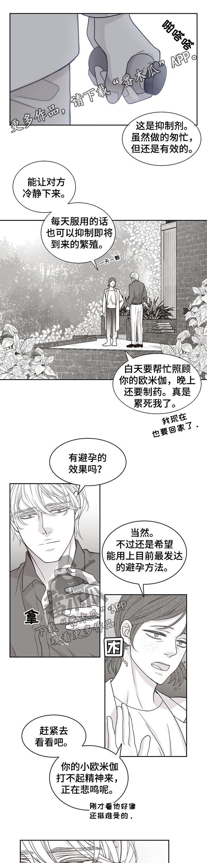 青年瑞恩漫画,第66章：你说什么1图