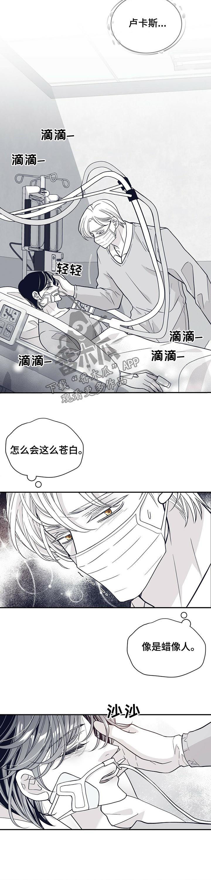 青年 瑞兹漫画,第188章：【第二季】时日无多2图