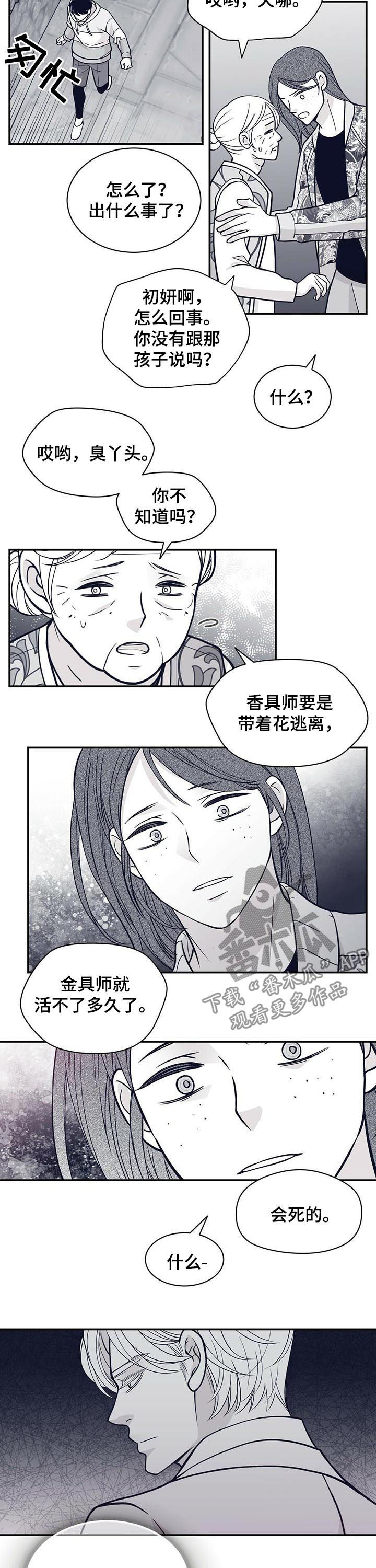 青年瑞恩漫画,第164章：他会死1图