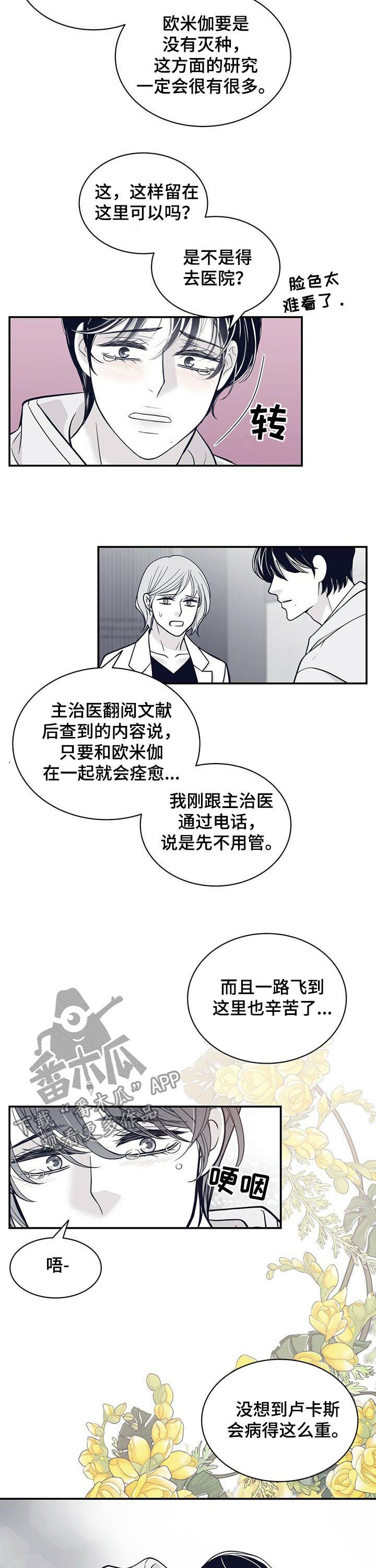 青年瑞兹是不是绝版了漫画,第166章：没有勇气2图