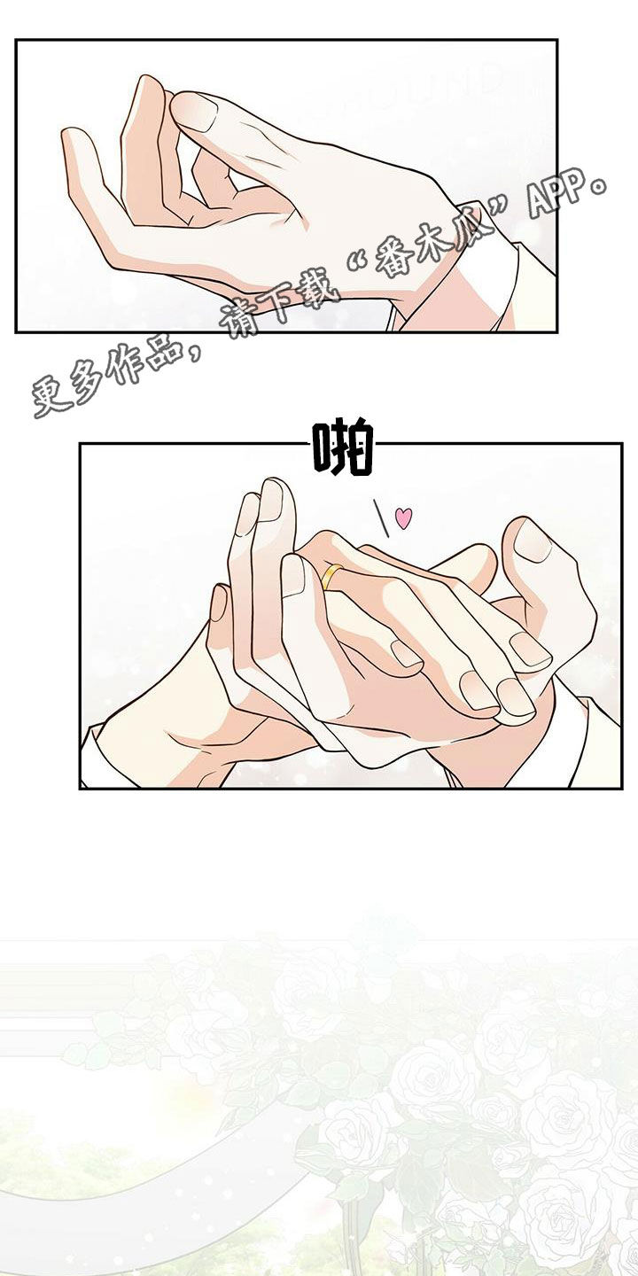 青年瑞恩漫画,第235章：【番外】新婚旅行1图