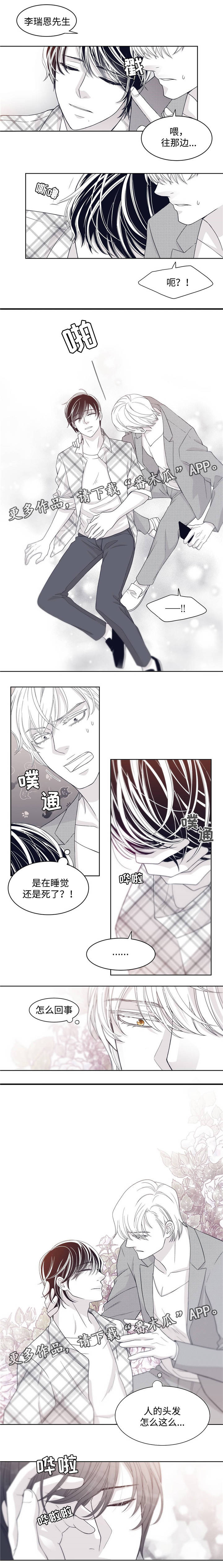 青年瑞兹怎么获得漫画,第22章：生态缸的欧米伽2图