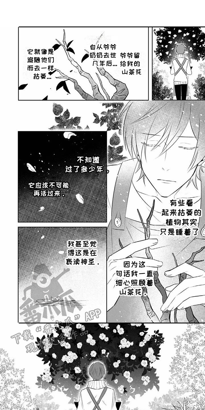 不见凋零漫画,第15章：期待1图