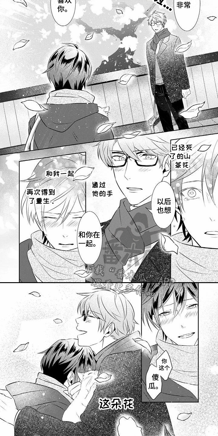 只见花鲜艳不见花凋零漫画,第16章：永远盛开（完结）1图