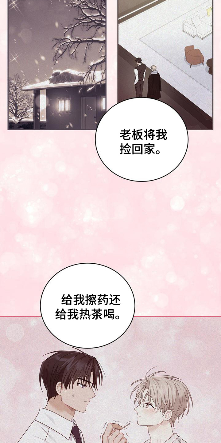 糖不甩怎么做漫画,第19章：不会让你受伤1图