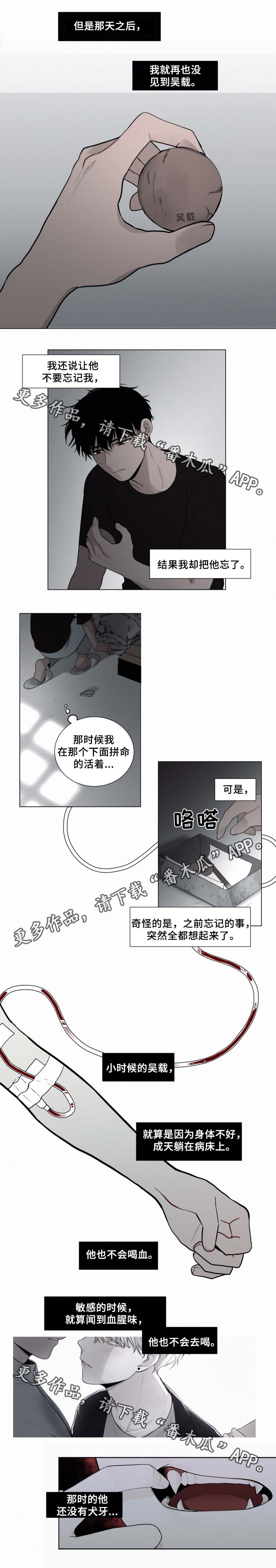 致命供养漫画,第47章：经历了什么2图