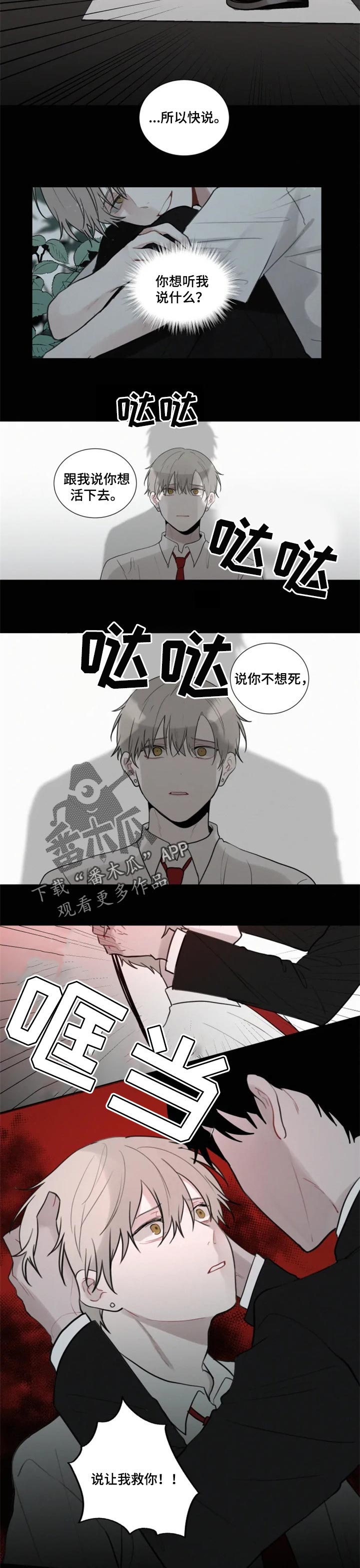 致命供养全集在线免费观看漫画,第100章：【第二季】开始实验2图