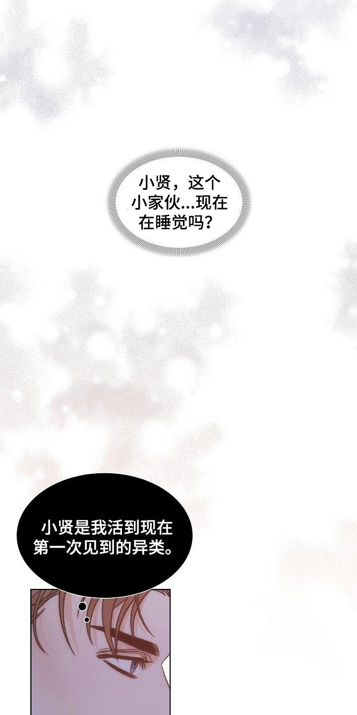 失窃的未来是什么意思漫画,第29章：计划2图