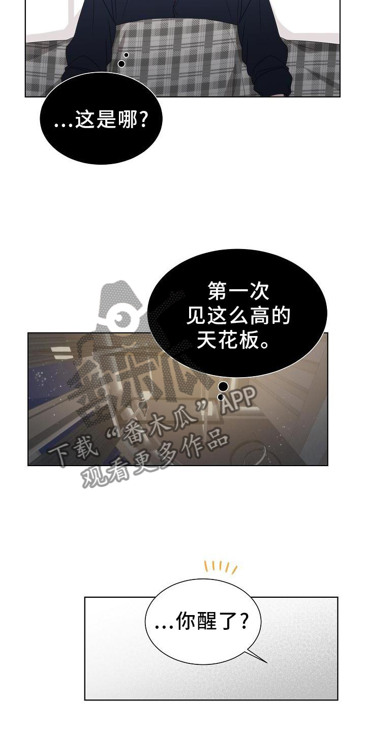 失窃的近义词是什么漫画,第34章：【第二季】小松鼠1图