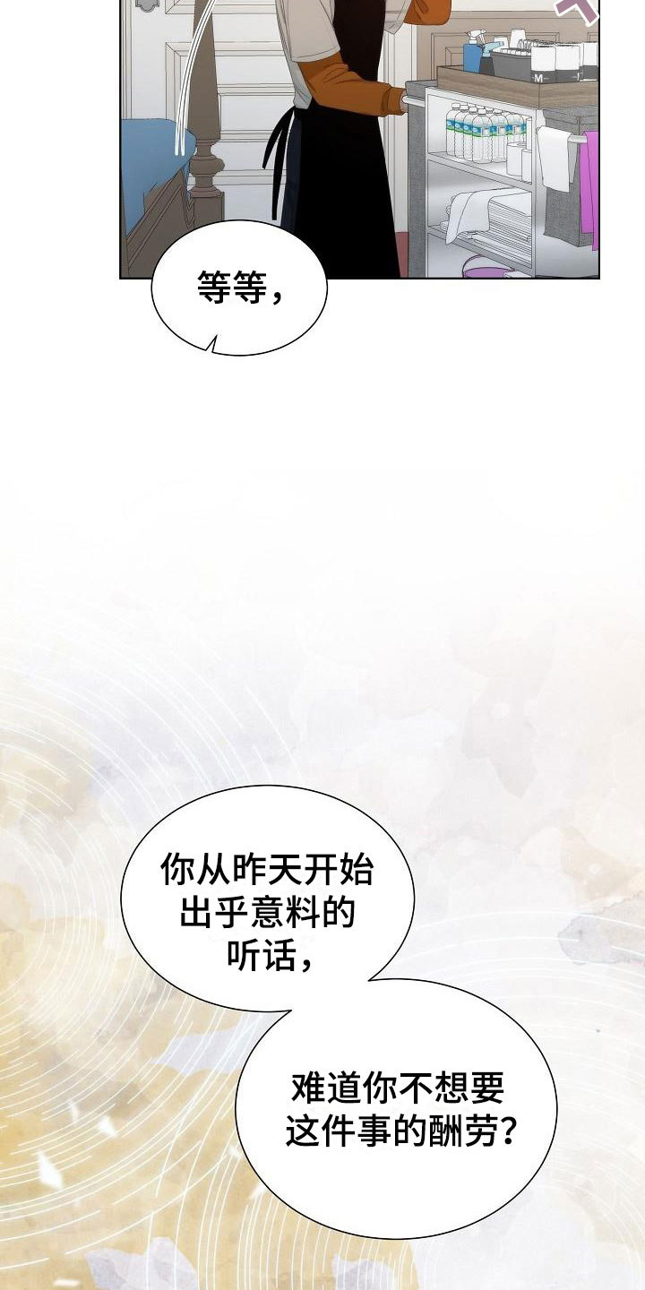 失窃的国宝纪录片漫画,第6章：观察1图