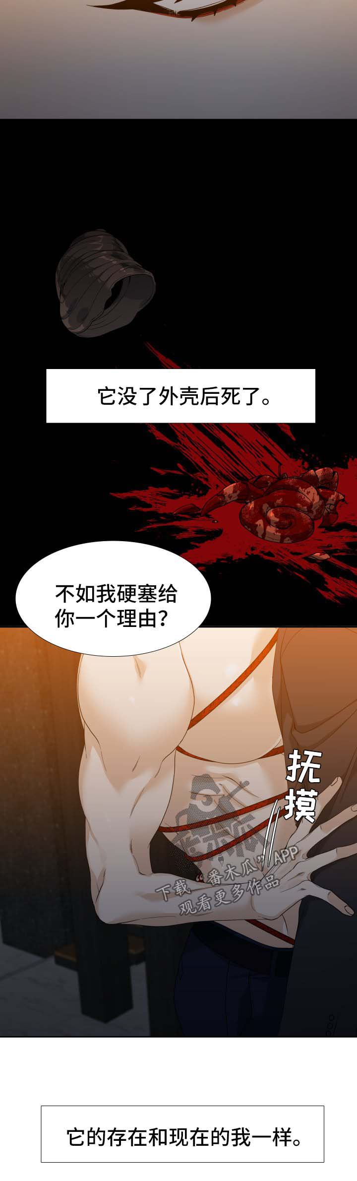 狂热boss请轻撩免费漫画下拉式36漫画,第26章：寄居蟹2图