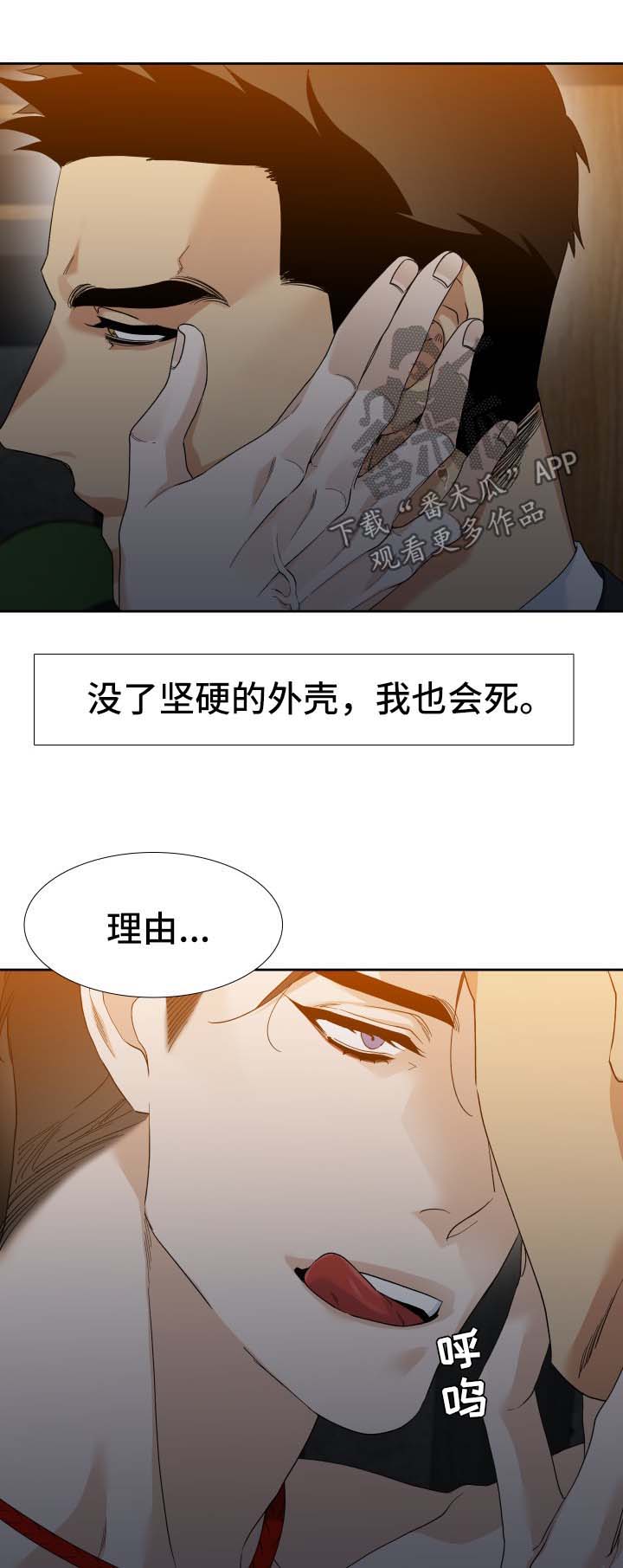 狂热的风铃漫画,第26章：寄居蟹1图