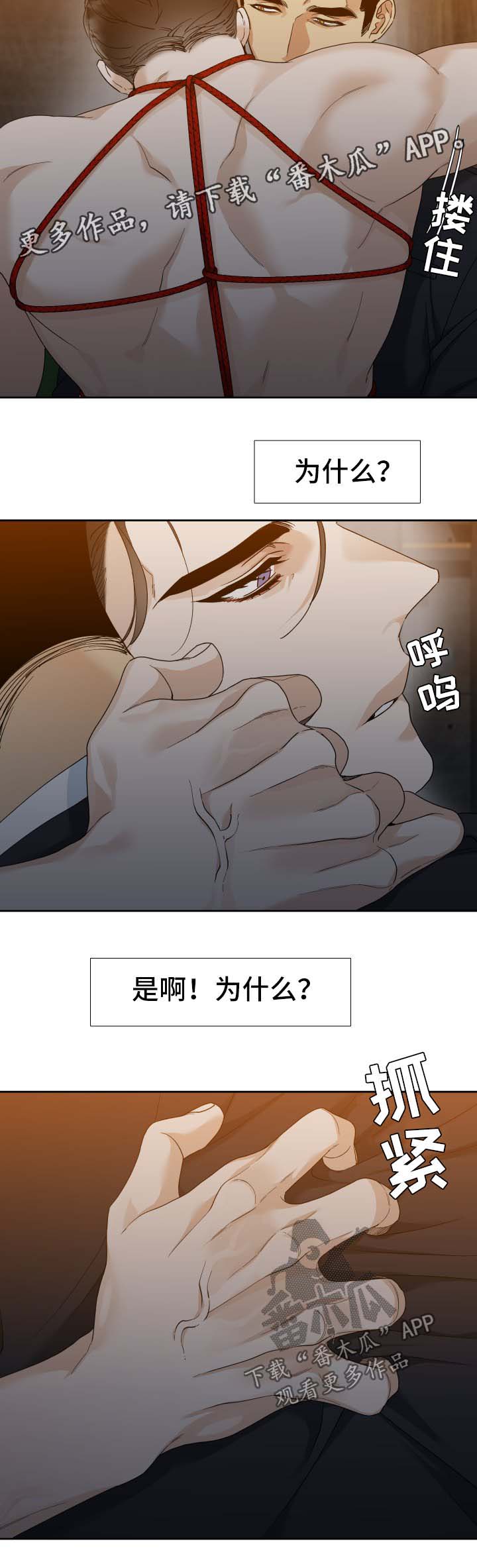 狂热boss请轻撩免费漫画下拉式36漫画,第26章：寄居蟹2图