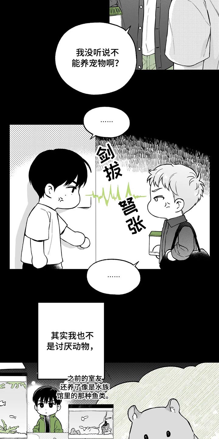 戒指遗失的含义漫画,第98章：【第二季】规则1图