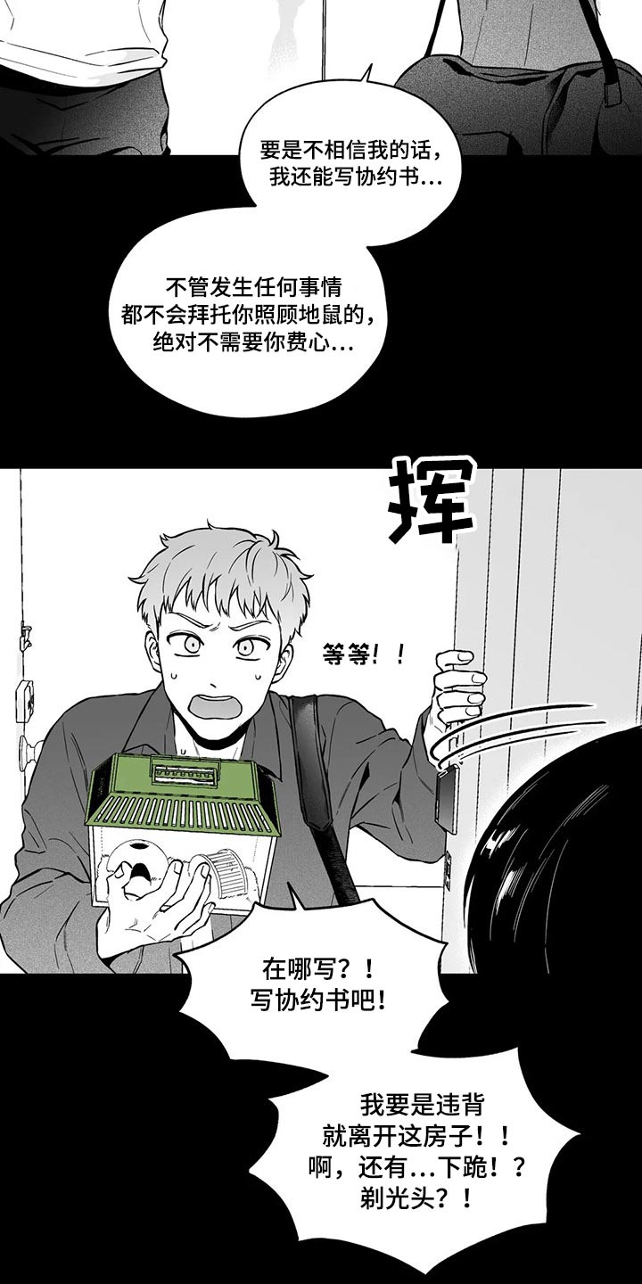 遗失的戒指送不出去了怎么办漫画,第98章：【第二季】规则2图