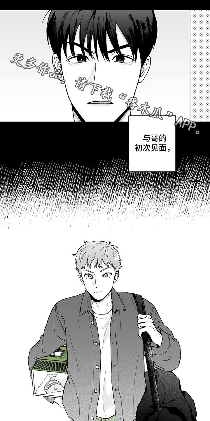 遗失的世界之丛林历险漫画,第98章：【第二季】规则1图