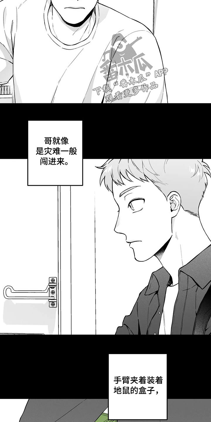 伯荣遗失的戒指漫画,第98章：【第二季】规则1图