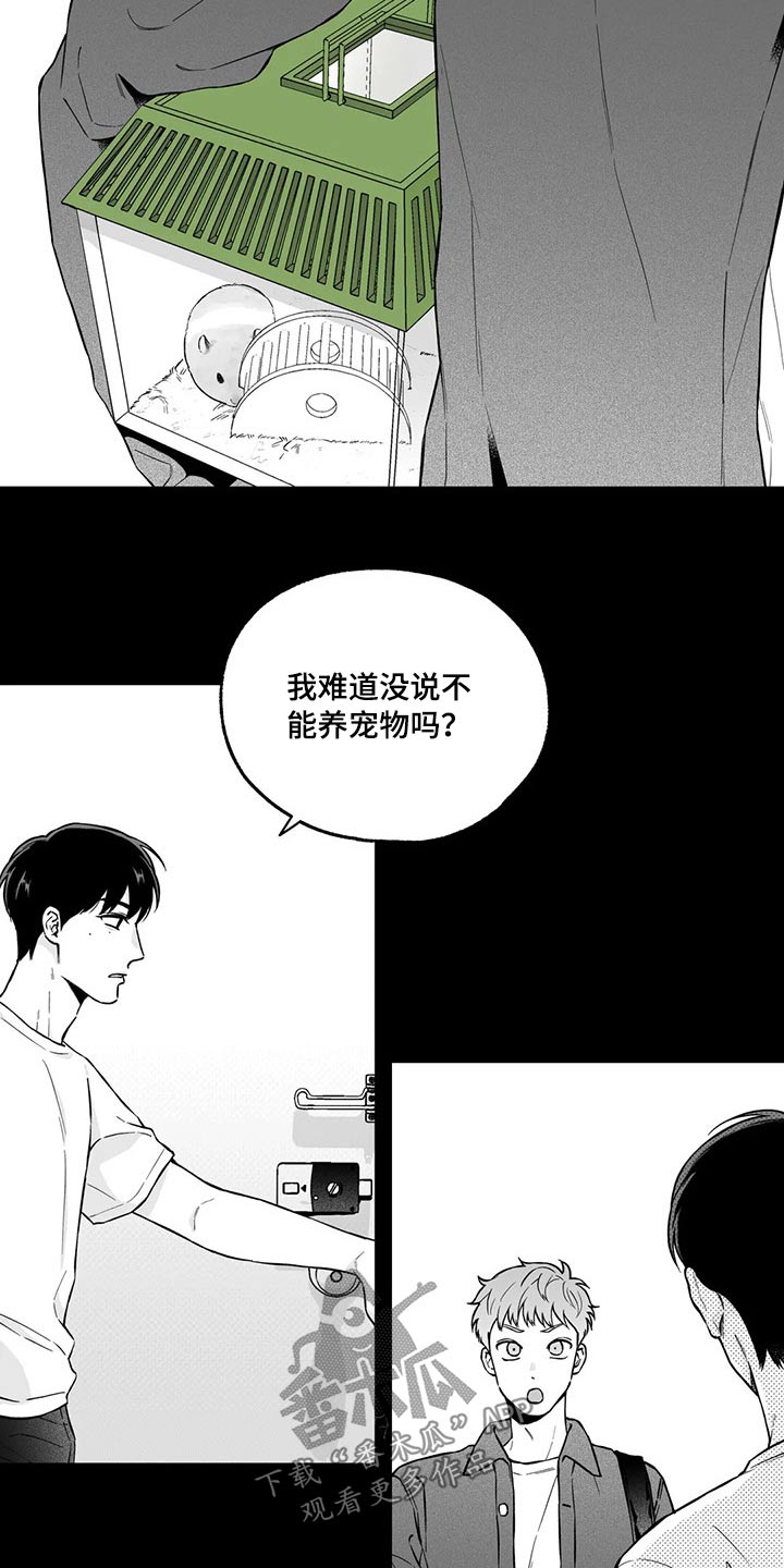 伯荣遗失的戒指漫画,第98章：【第二季】规则2图