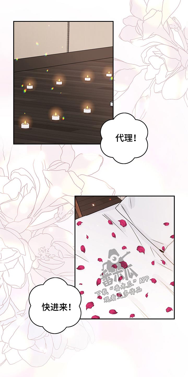 金牌代理漫画,第58章：【第二季】情调2图