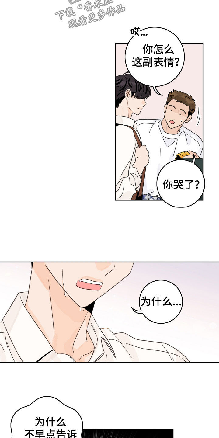 金牌代理漫画,第178章：【番外完结】派遣2图