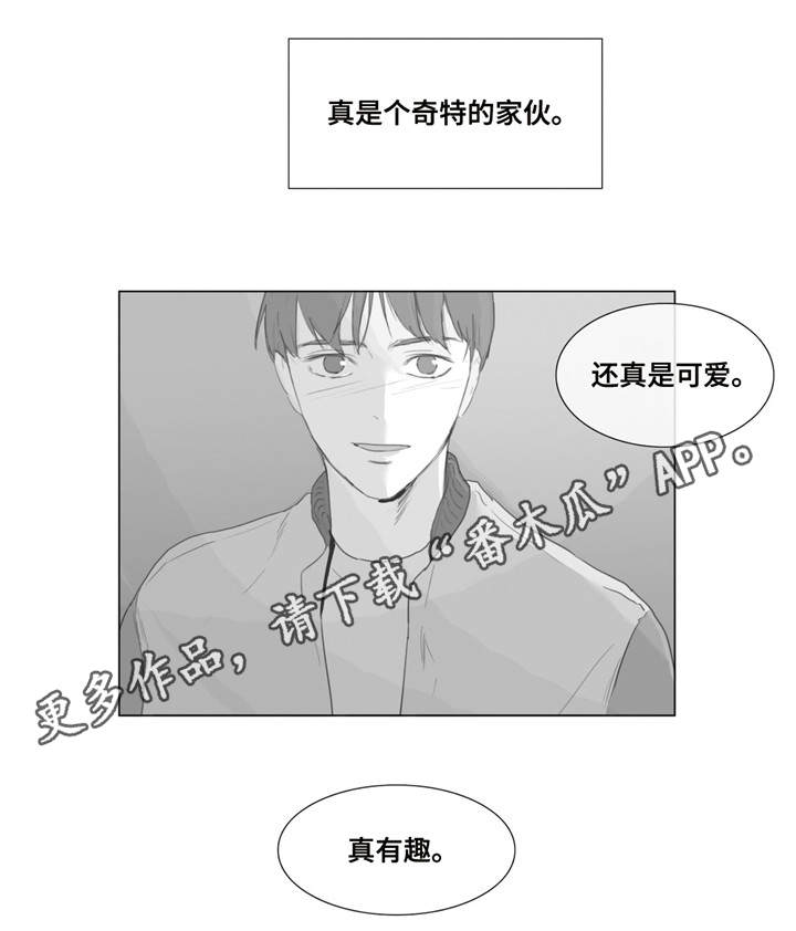 童年报复性补偿释义漫画,第3章：一见钟情2图