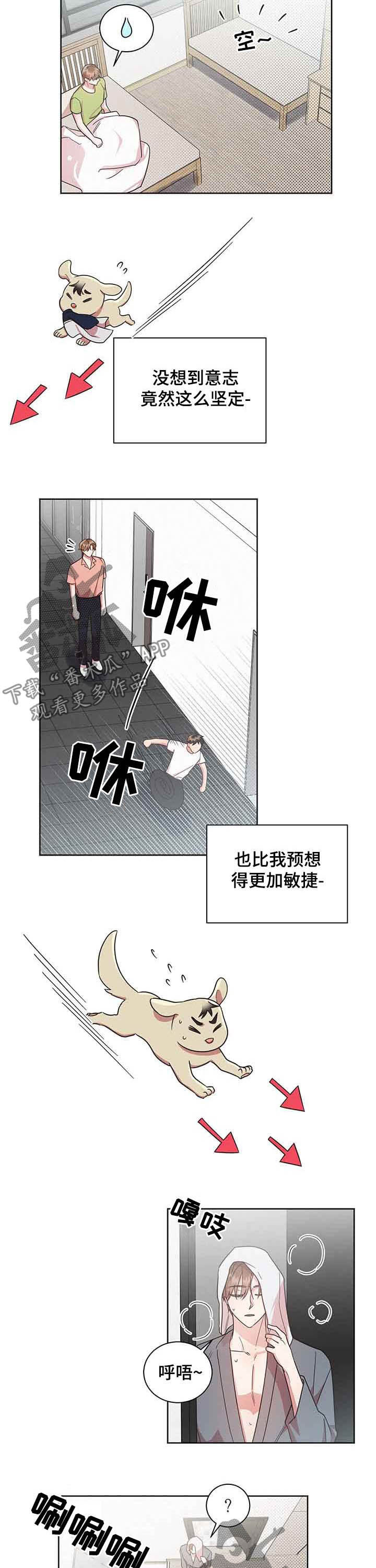 好人先生漫画为什么不更了漫画,第33章：追着他跑1图