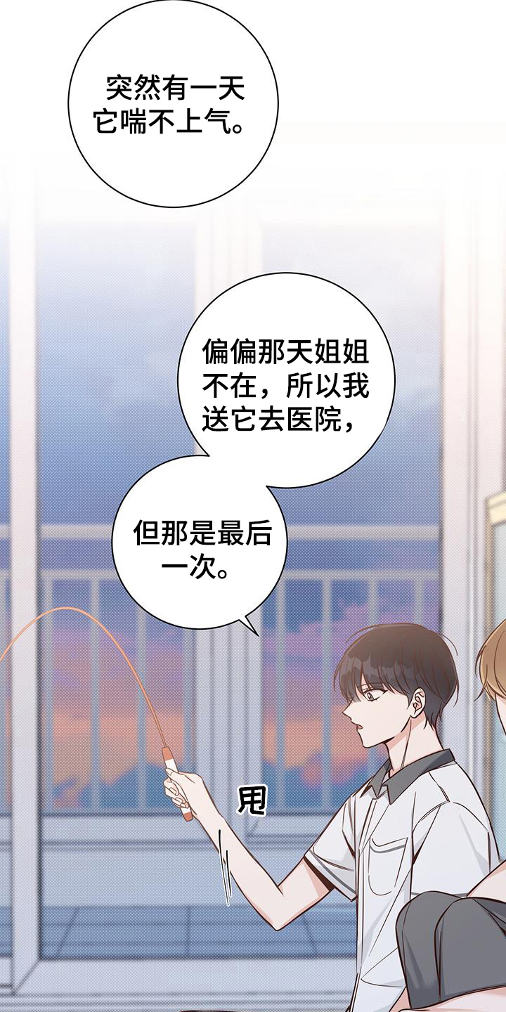 夏季恋人漫画,第16章：了解1图
