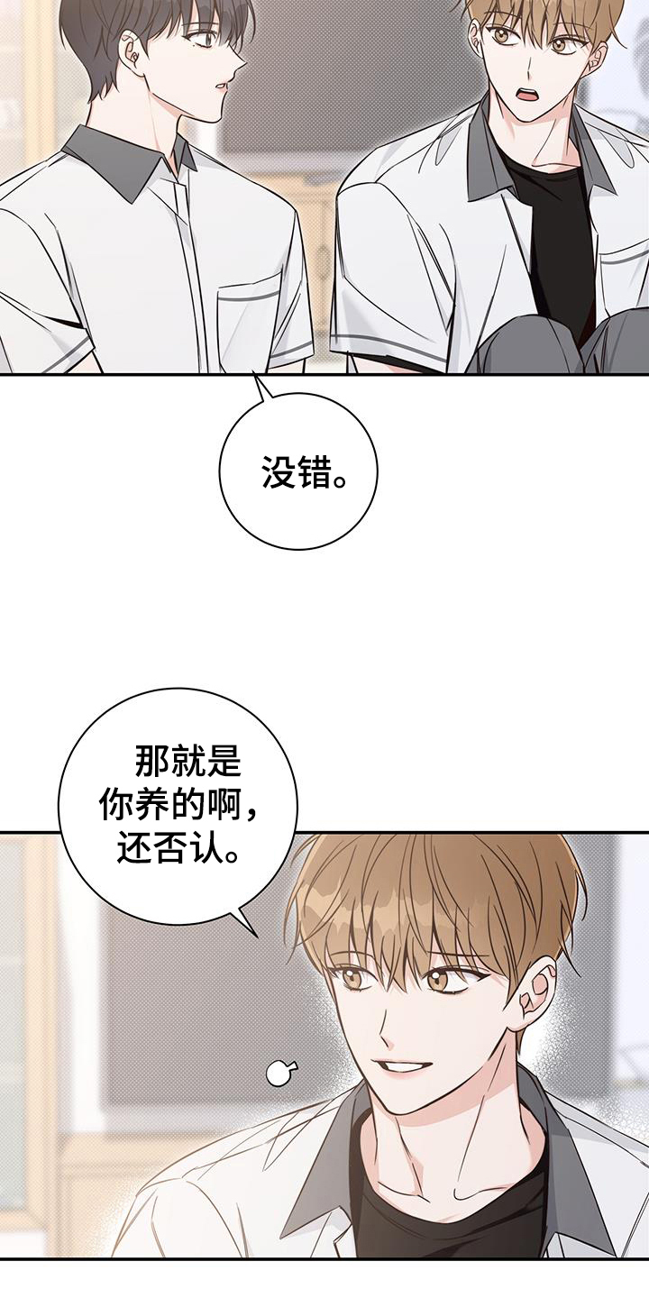 夏季恋人漫画,第16章：了解2图