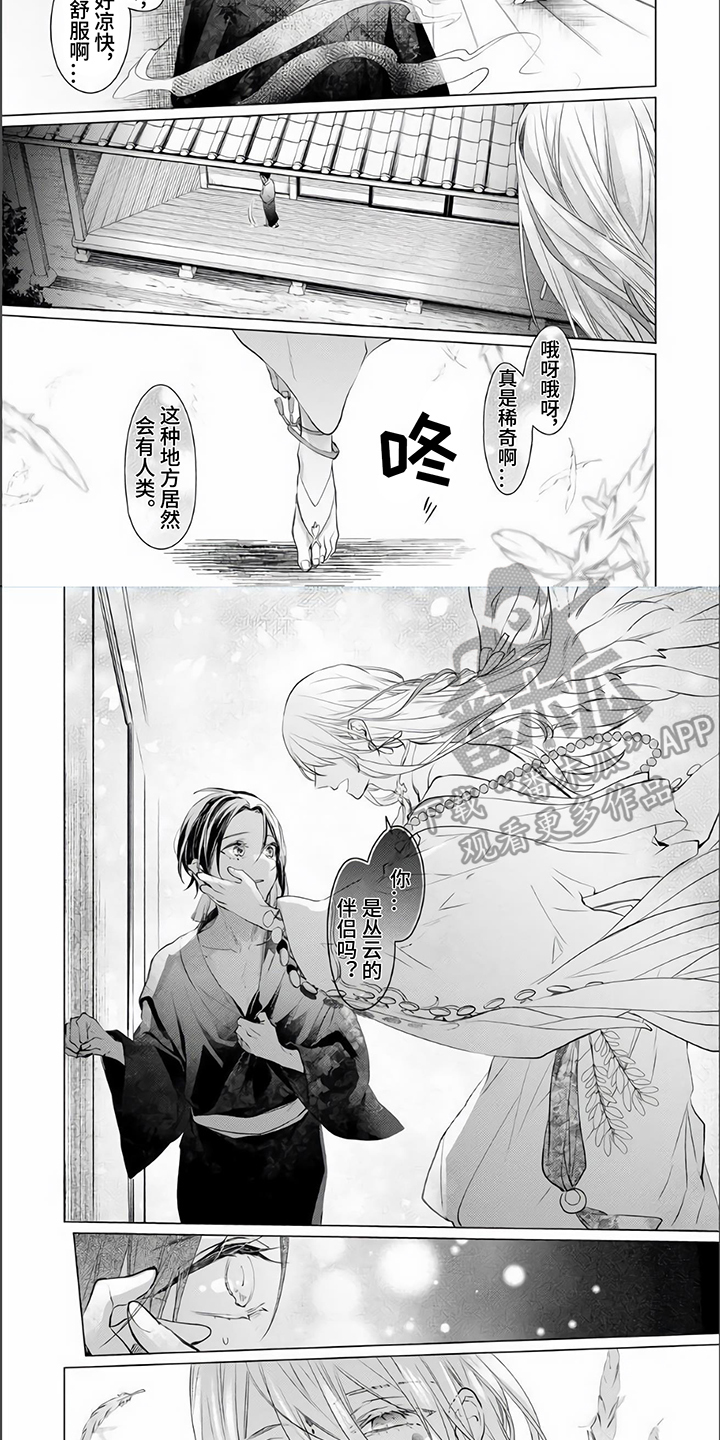 神鹰的歌曲原唱歌词大全漫画,第10章：阻止1图