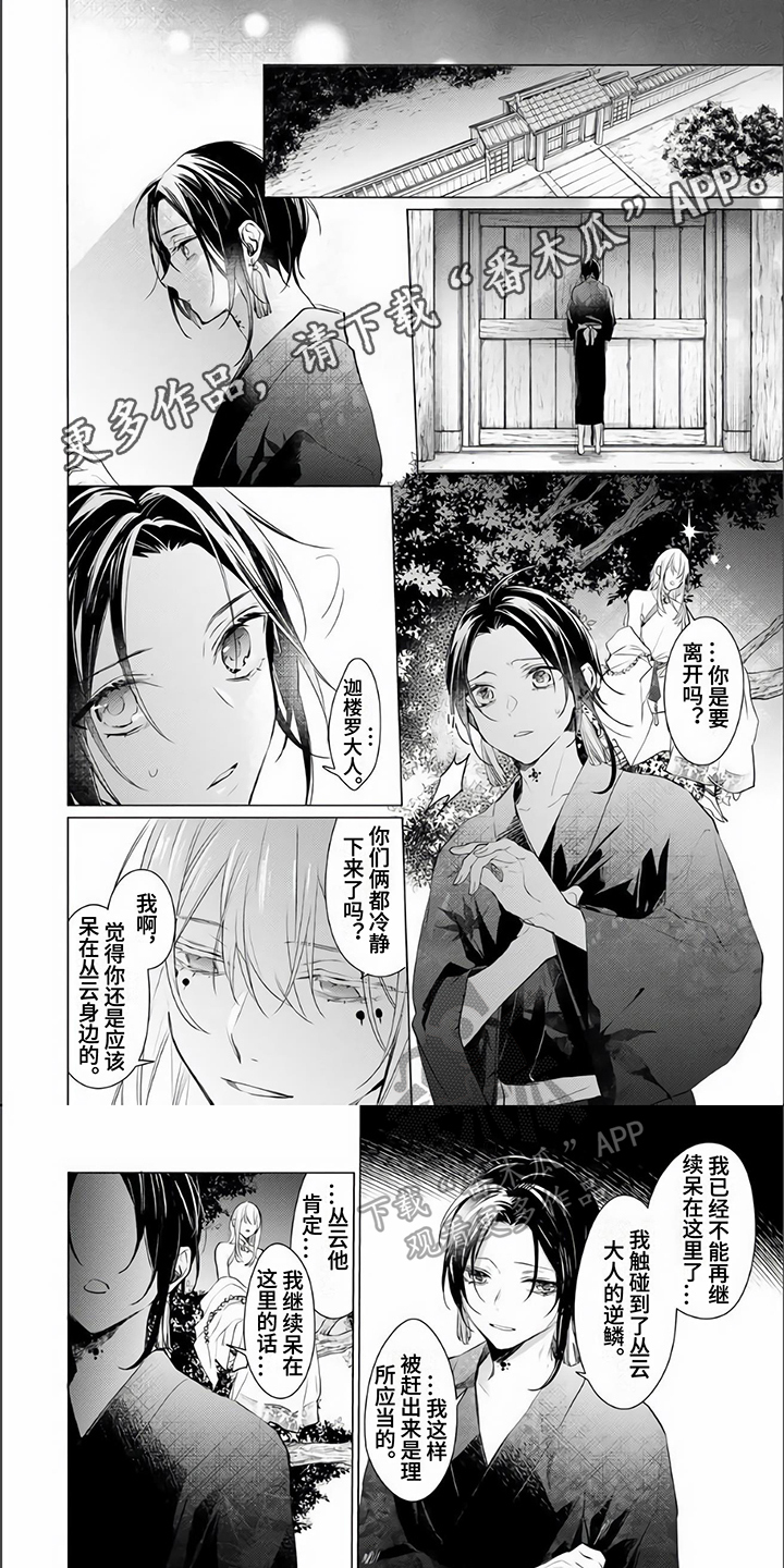 神鹰的生活漫画,第15章：故事1图