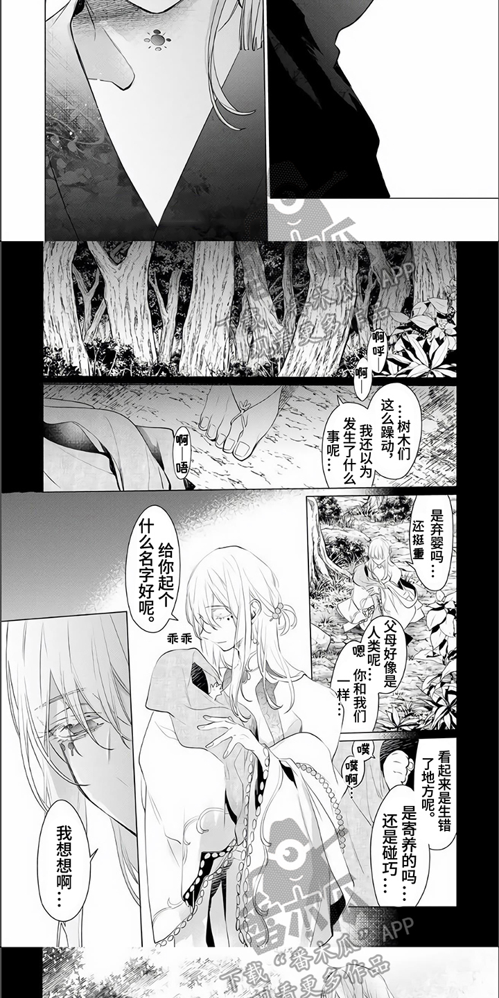 神鹰的故事背景漫画,第14章：赶走1图