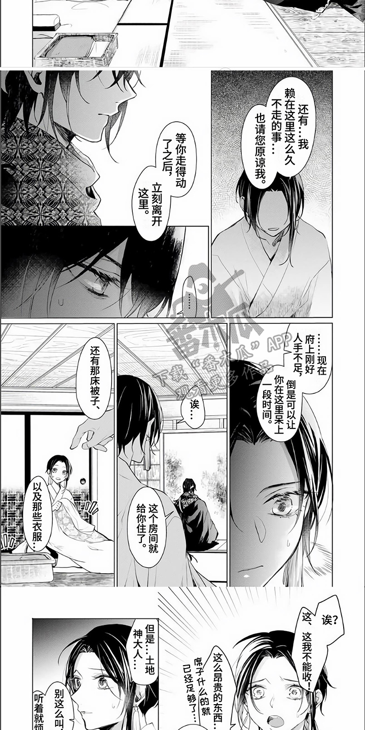 神奇的神鹰漫画,第8章：理解2图