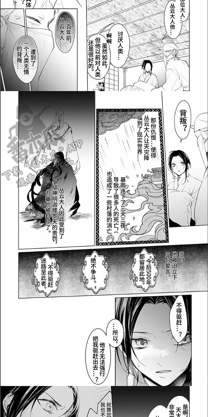 神鹰的阅读短文答案漫画,第8章：理解2图