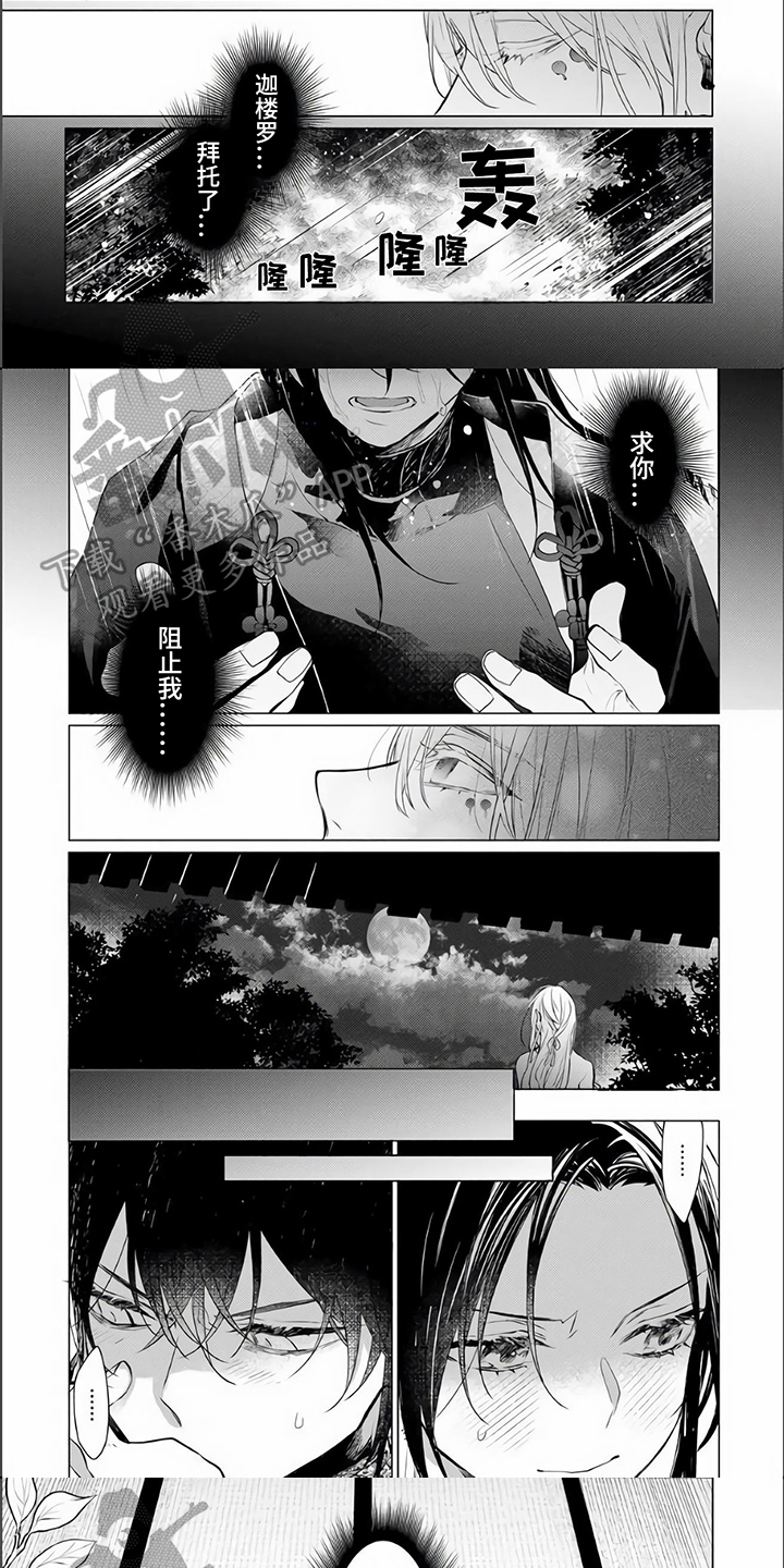 神鹰的图片漫画,第13章：中计1图