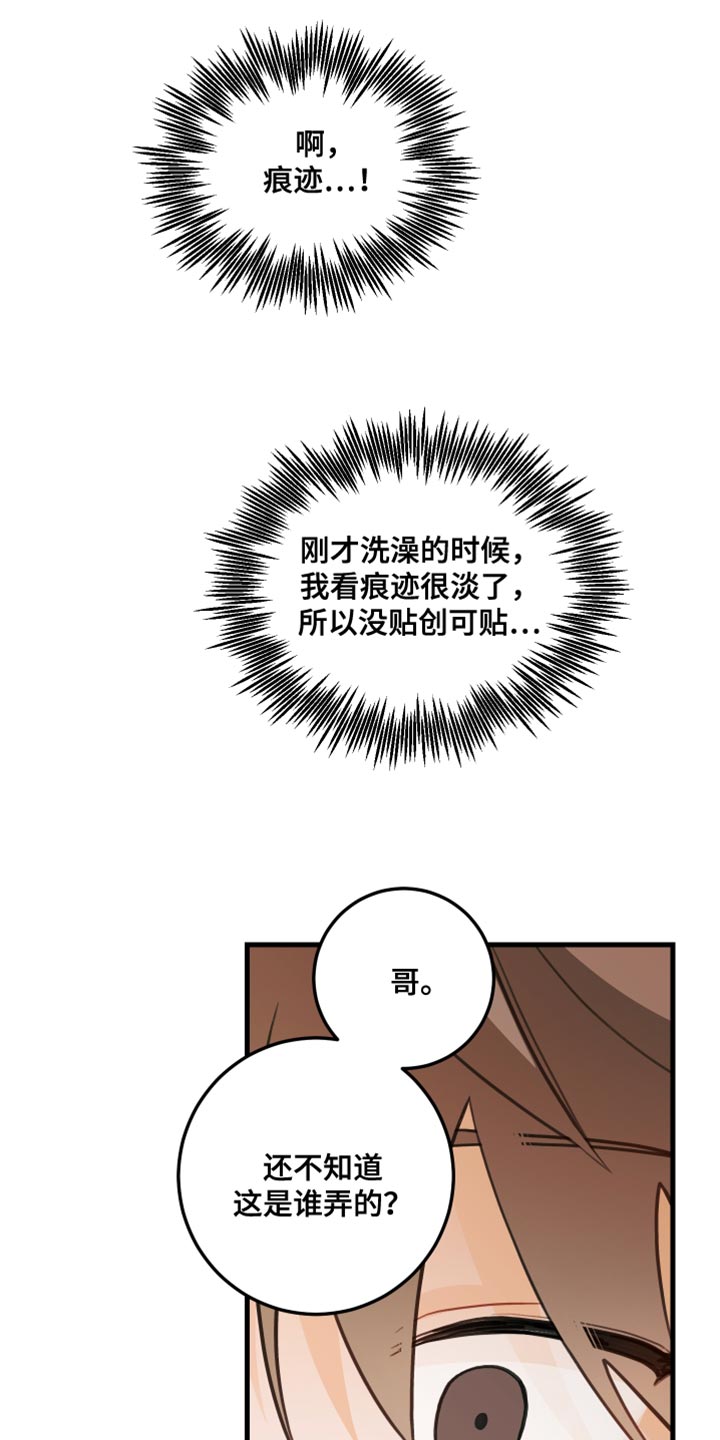 谁吻了我漫画免费下拉式漫画,第37章：找到犯人2图