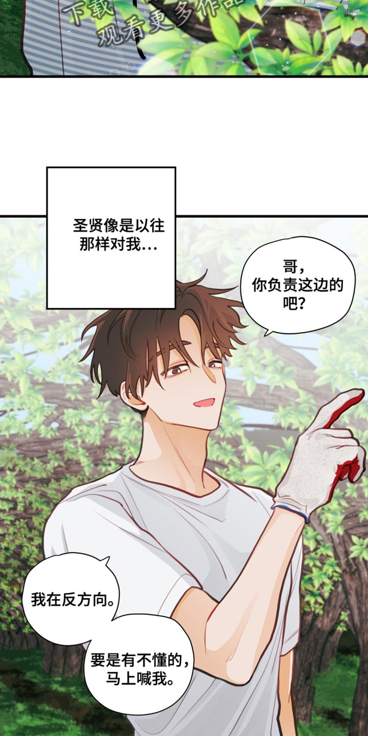 谁吻了我漫画完整版免费观看漫画,第33章：认真干活1图