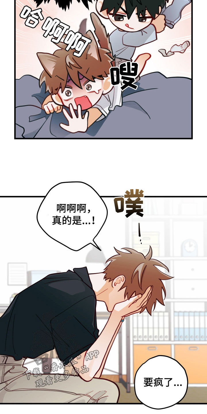 谁吻了我别称漫画,第56章：笑容2图