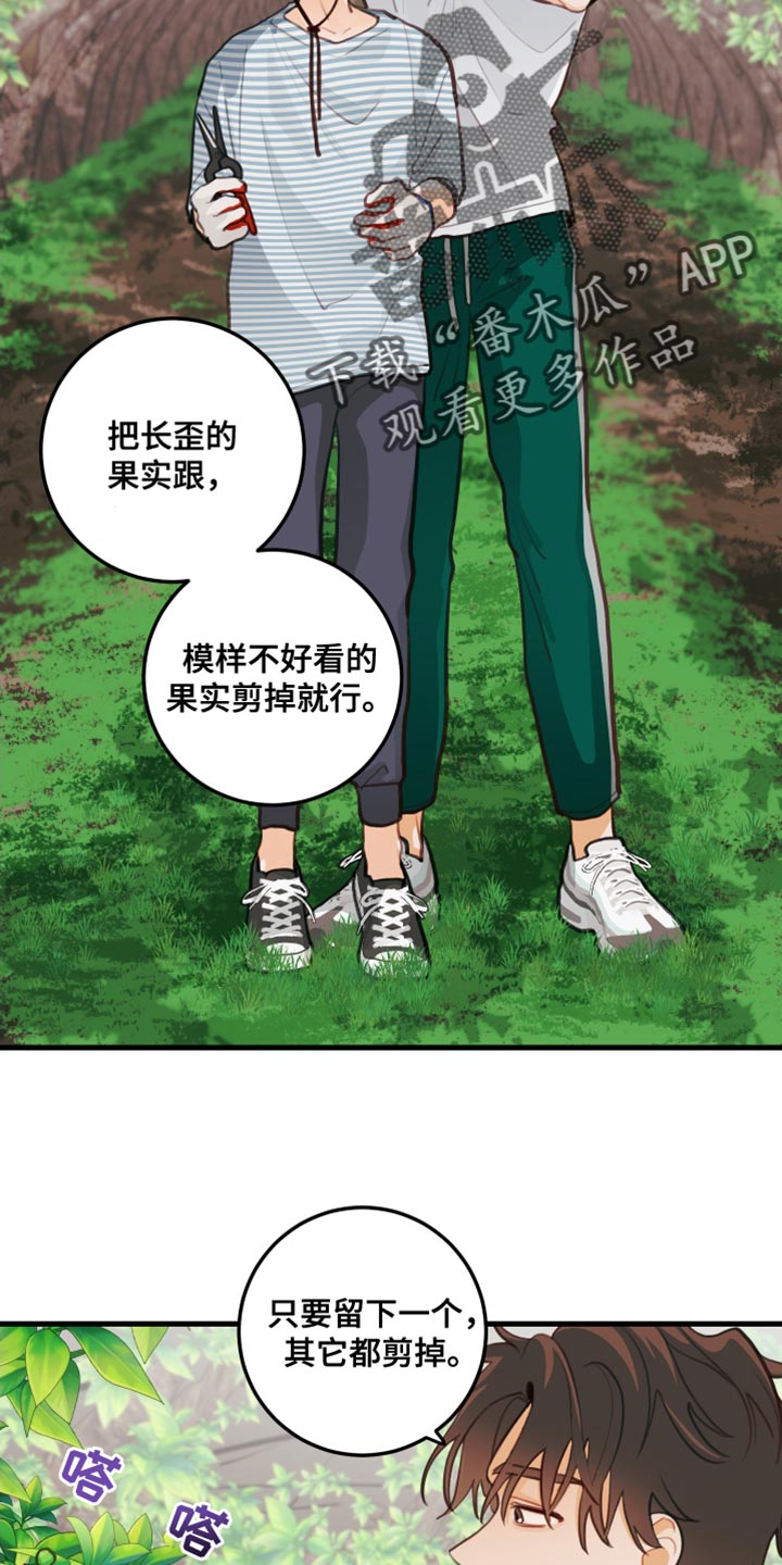 谁吻了我完整版漫画,第33章：认真干活2图