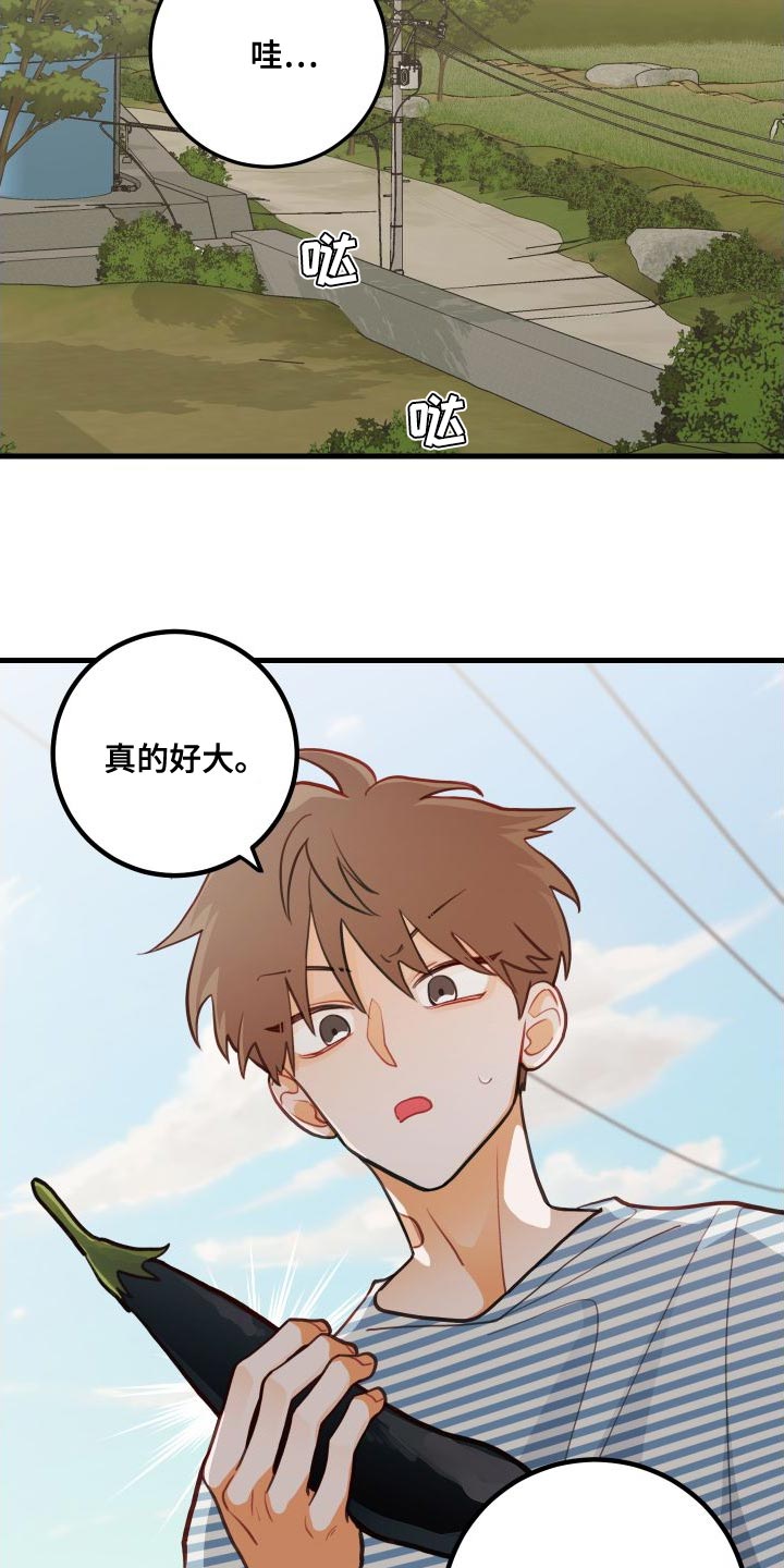 谁吻了我结局漫画,第29章：送茄子2图