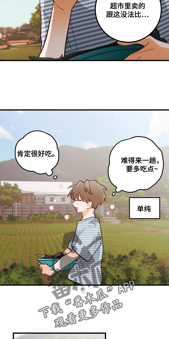 谁吻了我结局漫画,第29章：送茄子1图