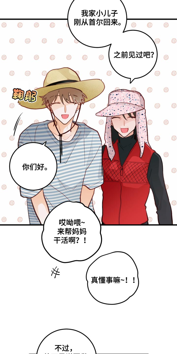 谁吻了我漫画免费下拉式漫画,第32章：果园2图