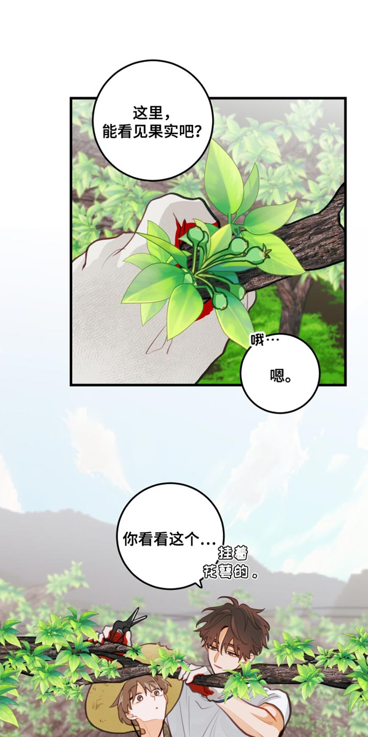 谁吻了我完整版漫画,第33章：认真干活1图