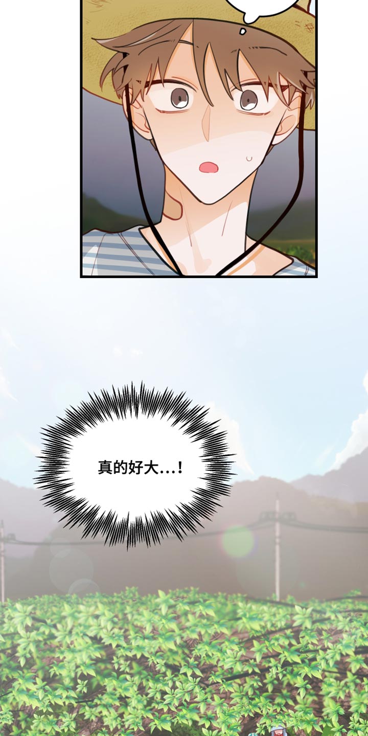 谁吻了我结局漫画,第32章：果园1图