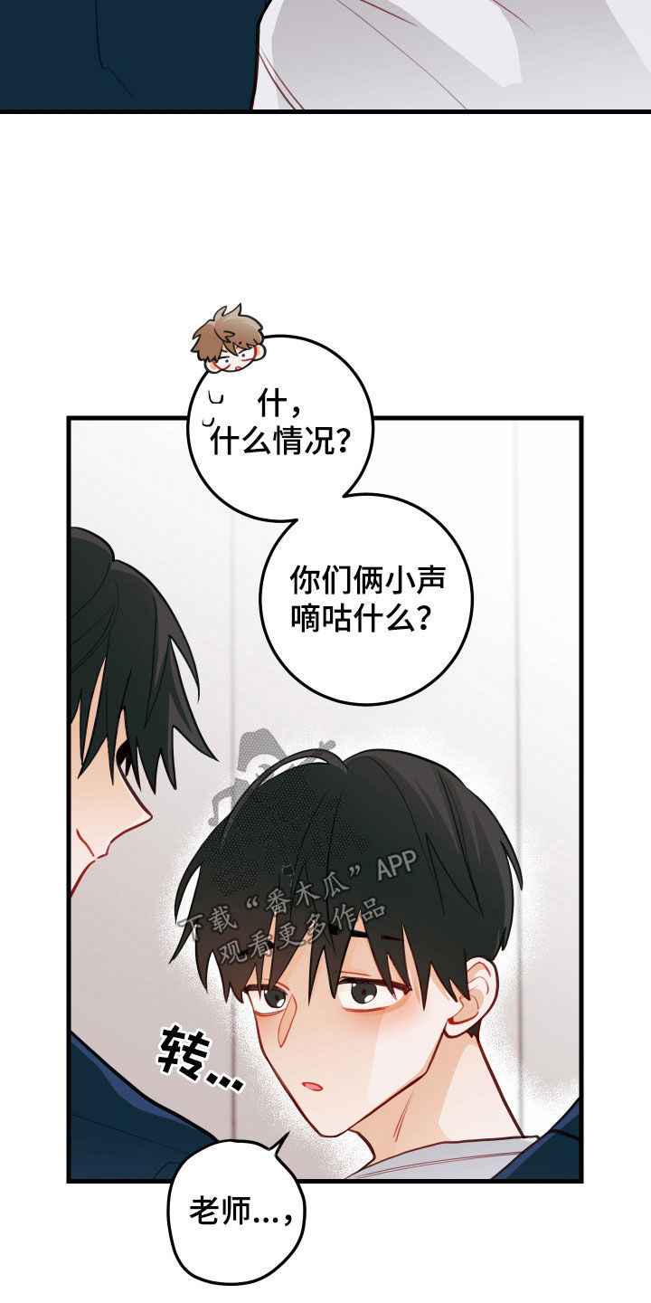 谁吻了我漫画解说漫画,第58章：我也喜欢1图